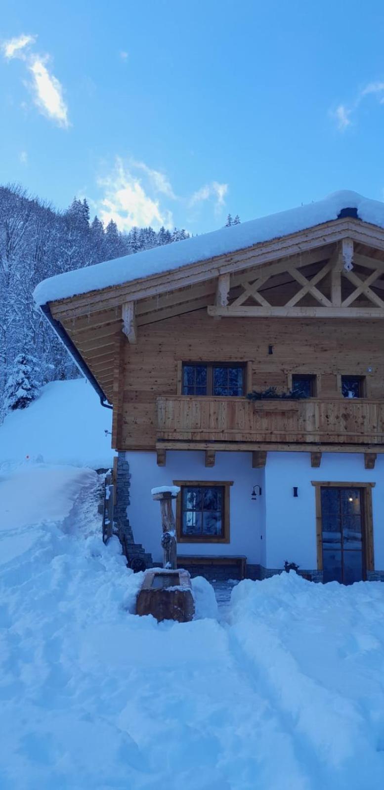 Riedlfeld Chalet Динтен-ам-Хохкёниг Экстерьер фото